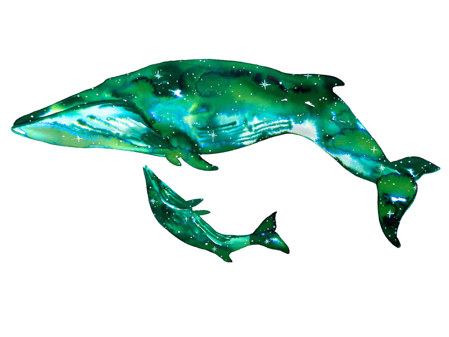 For the love of Whales
