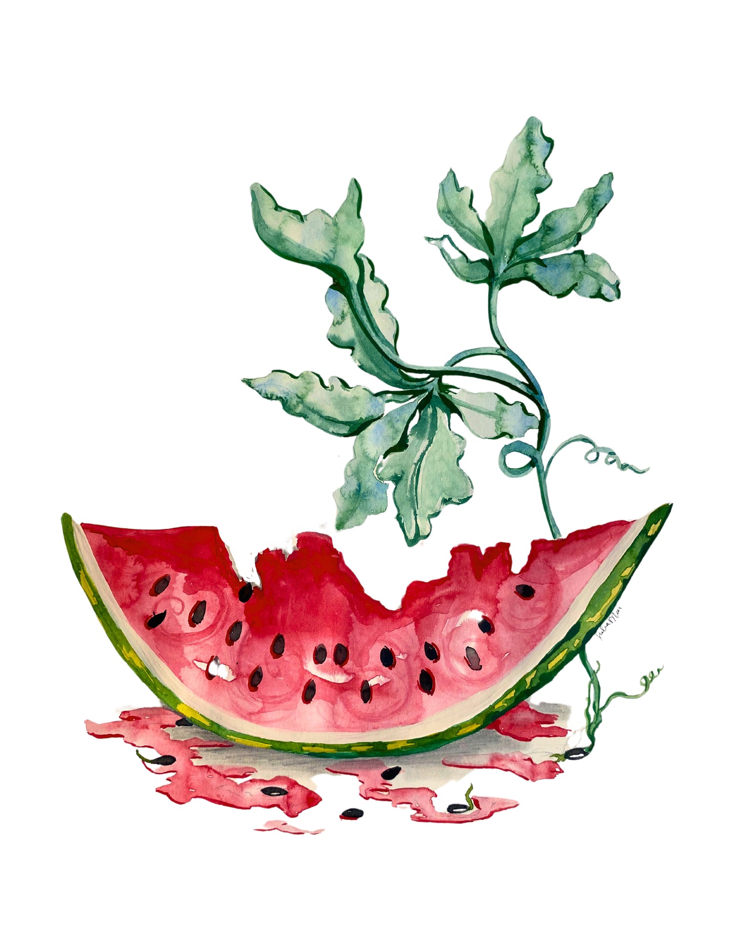 🍉🌱